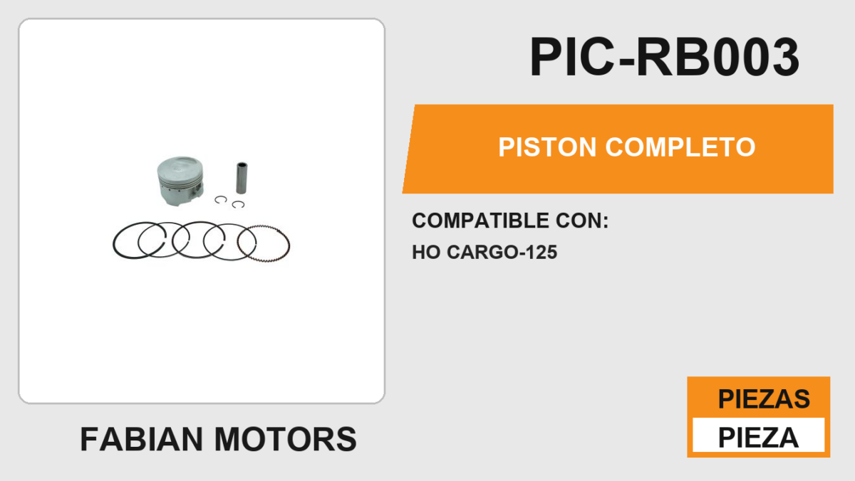 PISTON COMPLETO