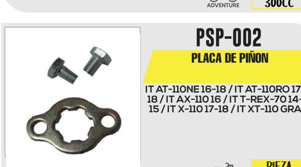 PLACA DE PIÑON