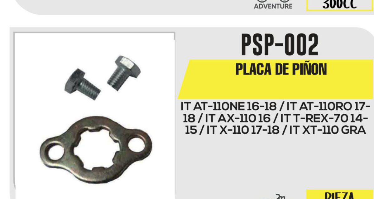 PLACA DE PIÑON