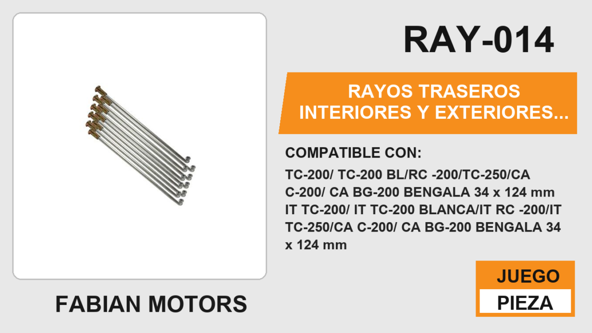 RAYOS TRASEROS INTERIORES Y EXTERIORES 3