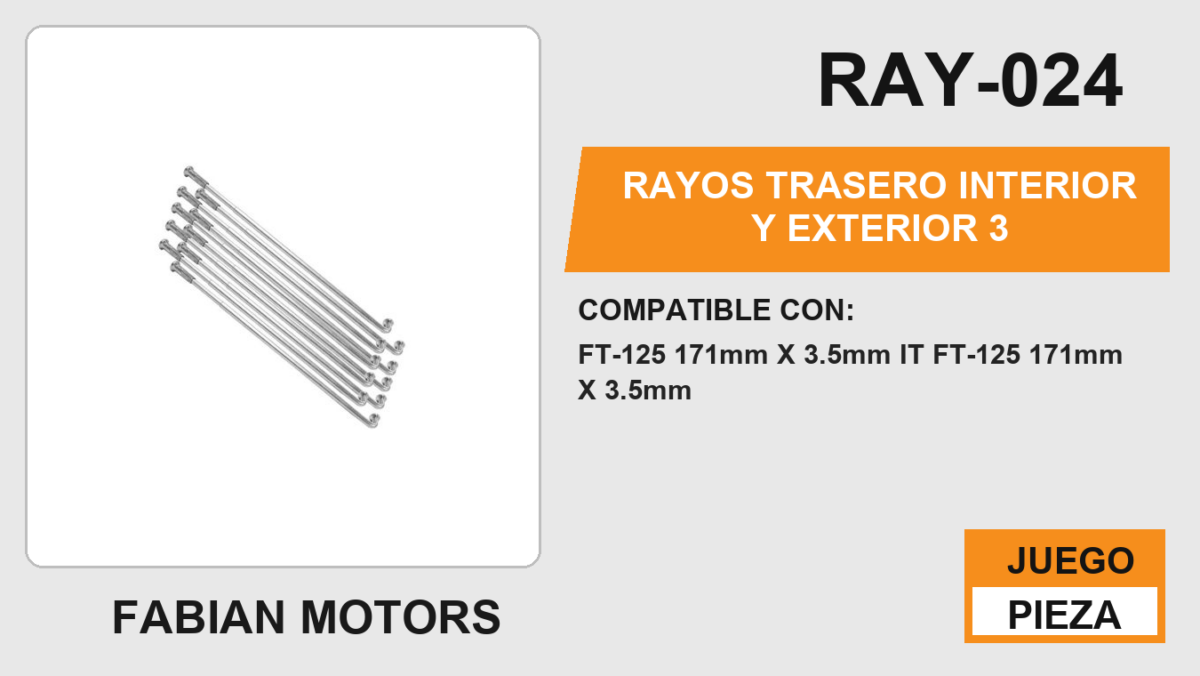 RAYOS TRASERO INTERIOR Y EXTERIOR 3