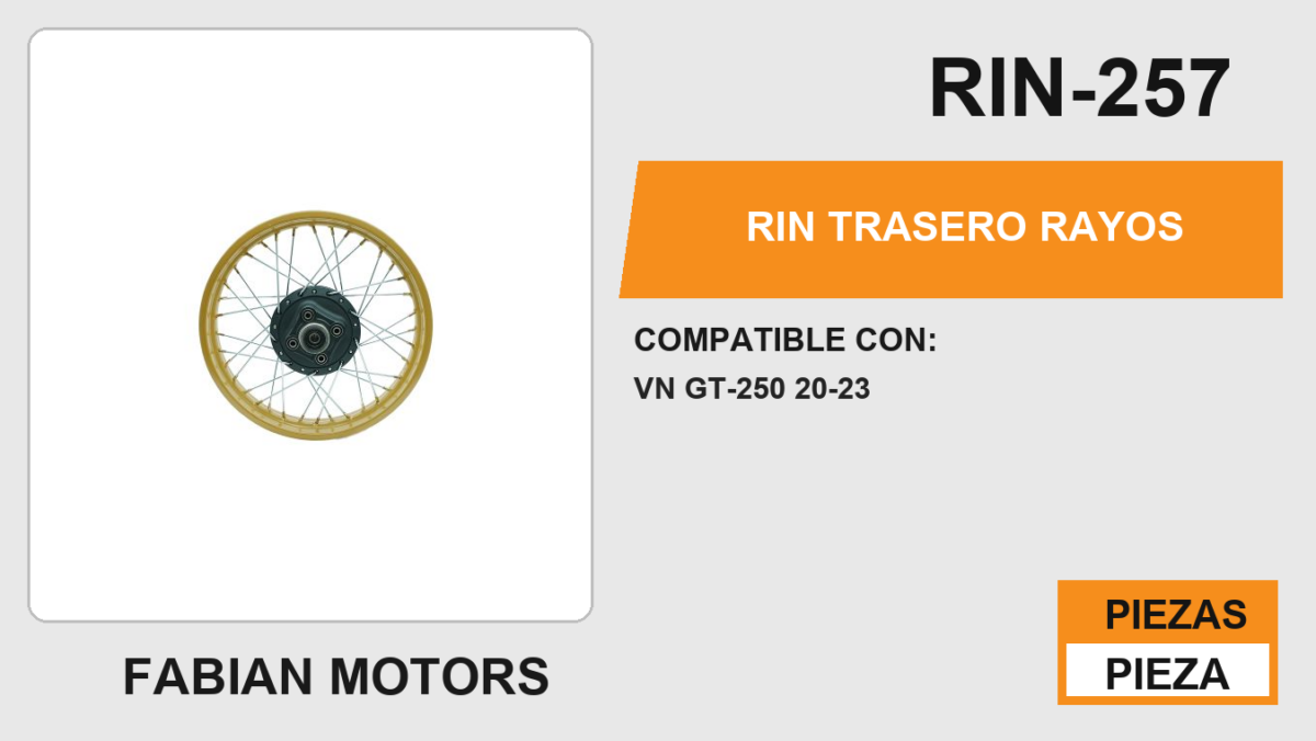 RIN TRASERO RAYOS