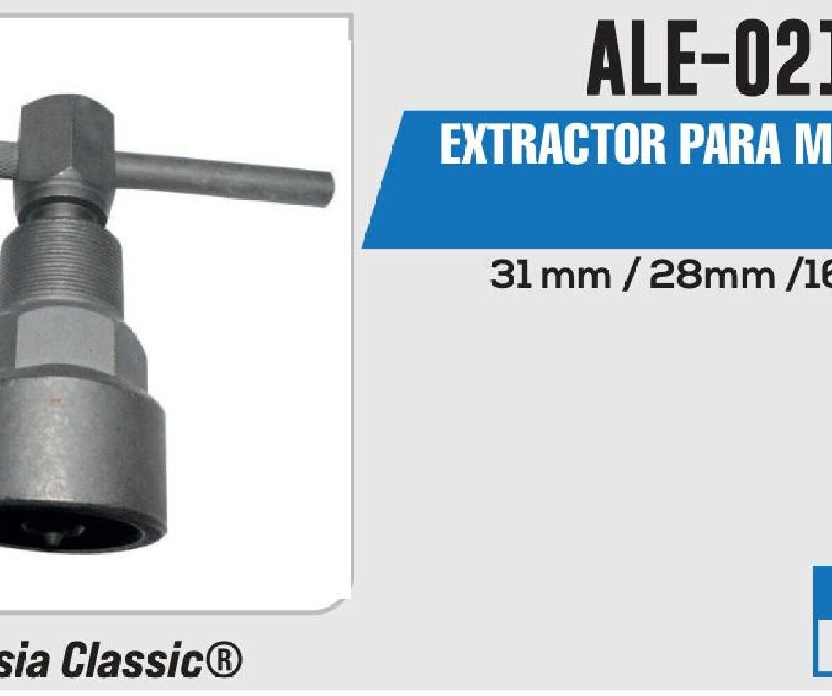 EXTRACTROR DE MAGNETO