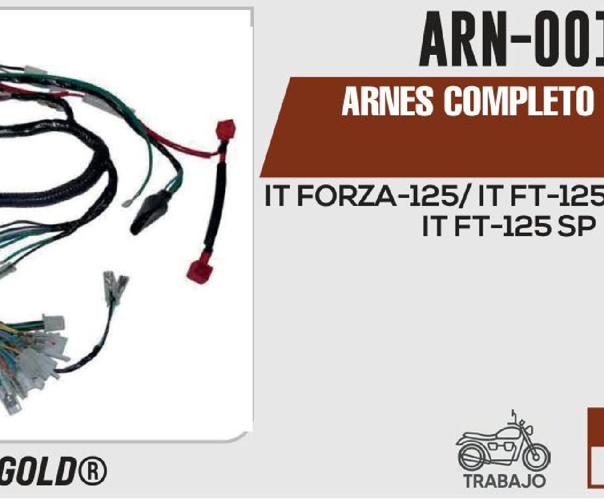 ARNES COMPLETO 12Vcc