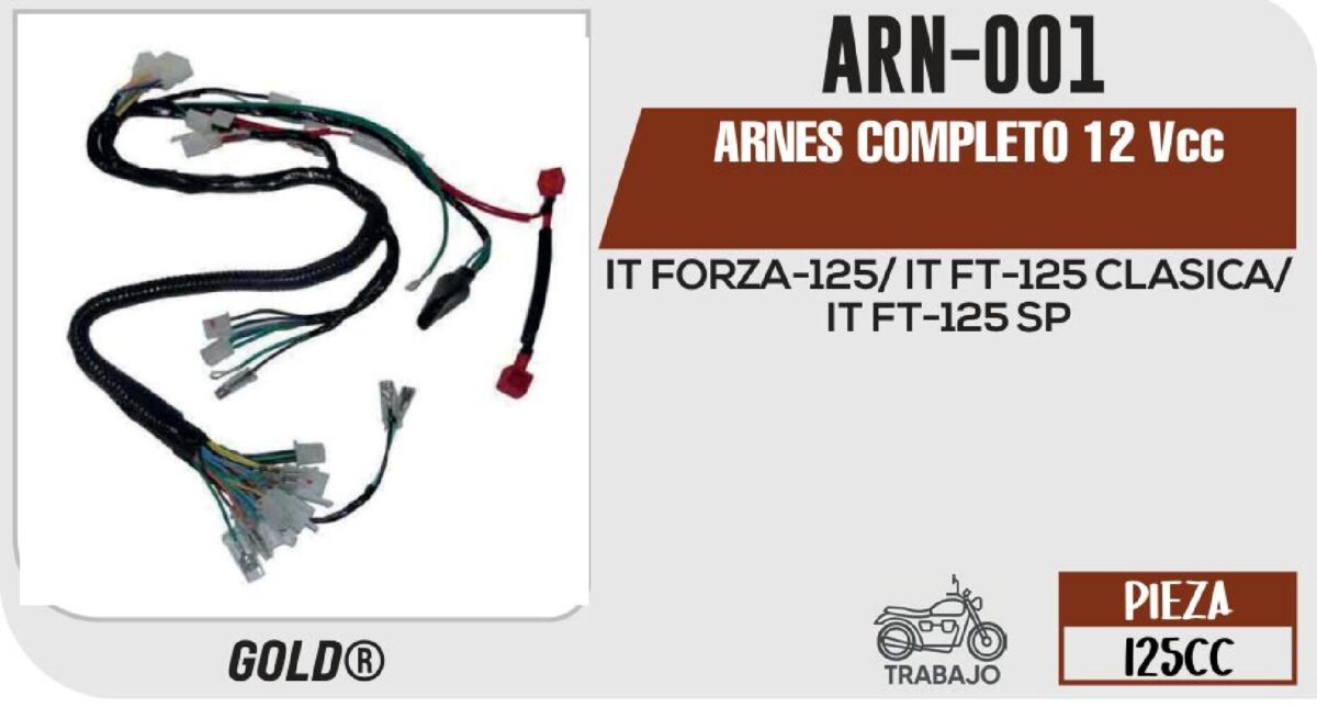 ARNES COMPLETO 12Vcc