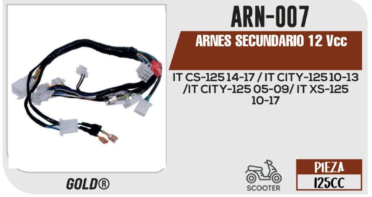 ARNES SECUNDARIO 12Vcc