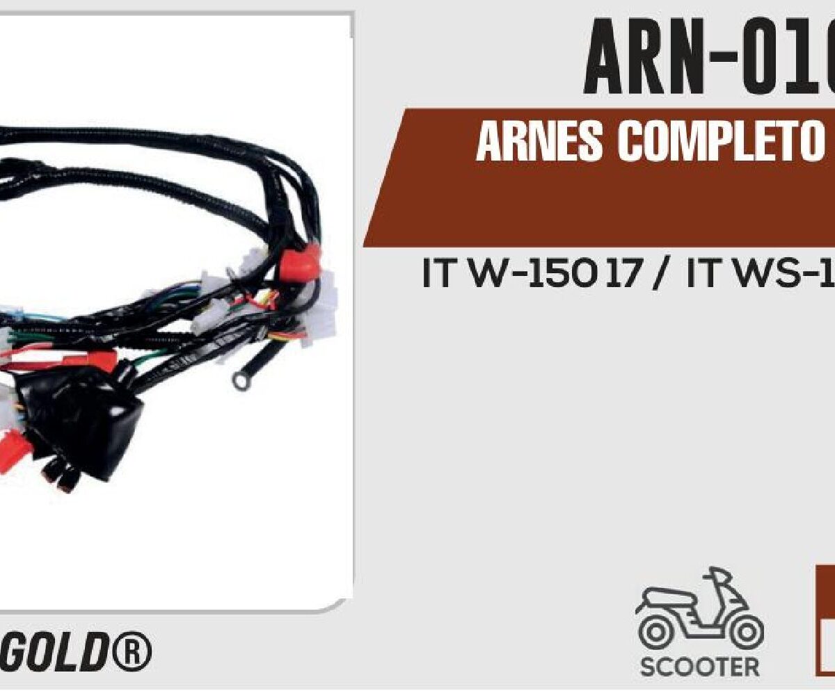 ARNES COMPLETO 12Vcc
