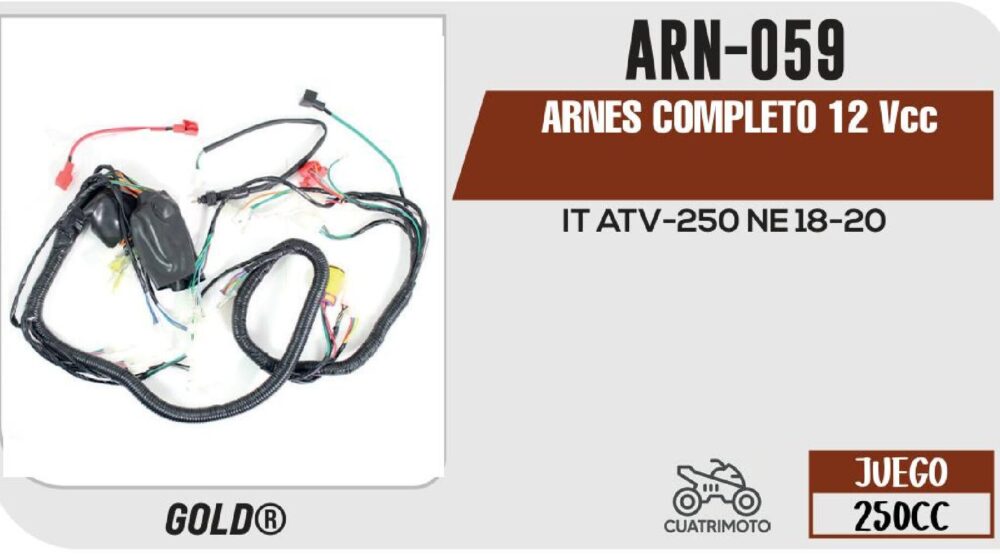 ARNES COMPLETO 12 V / 20 A / ARN-059