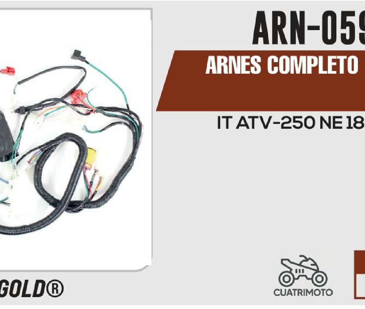 ARNES COMPLETO 12 V / 20 A / ARN-059