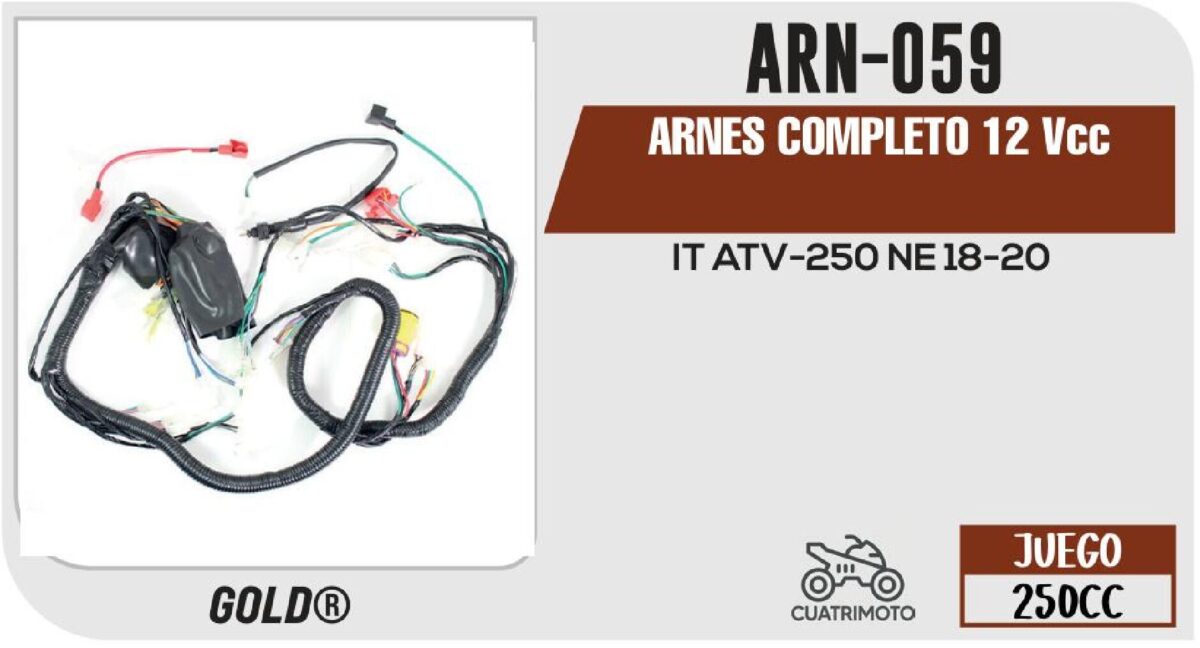 ARNES COMPLETO 12 V / 20 A / ARN-059