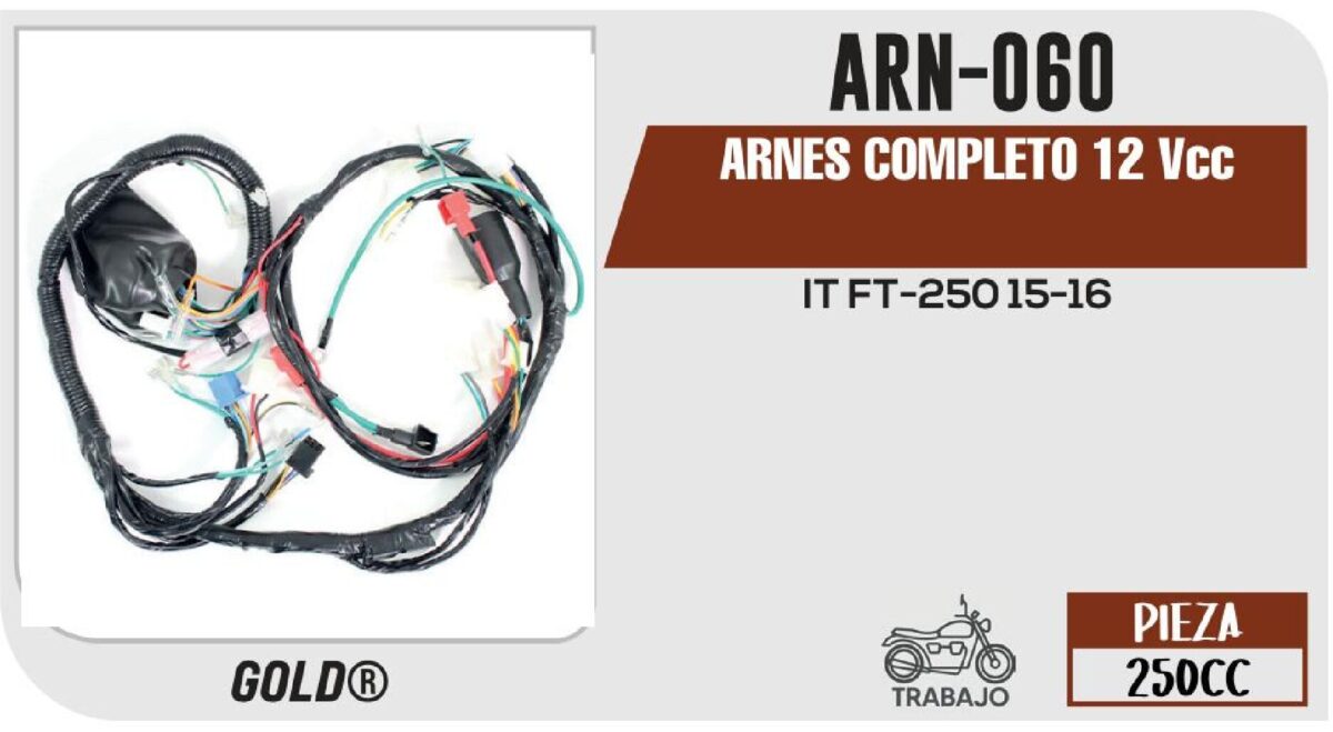 ARNES COMPLETO 12Vcc / 20 A