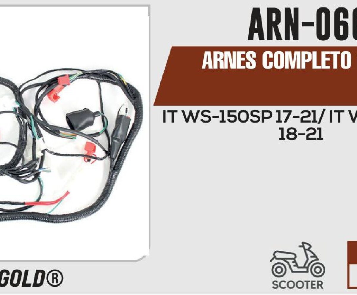 ARNES COMPLETO 12Vcc / 20 A