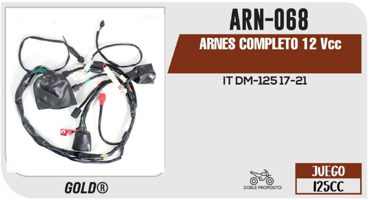 ARNES COMPLETO 12Vcc / 20 A