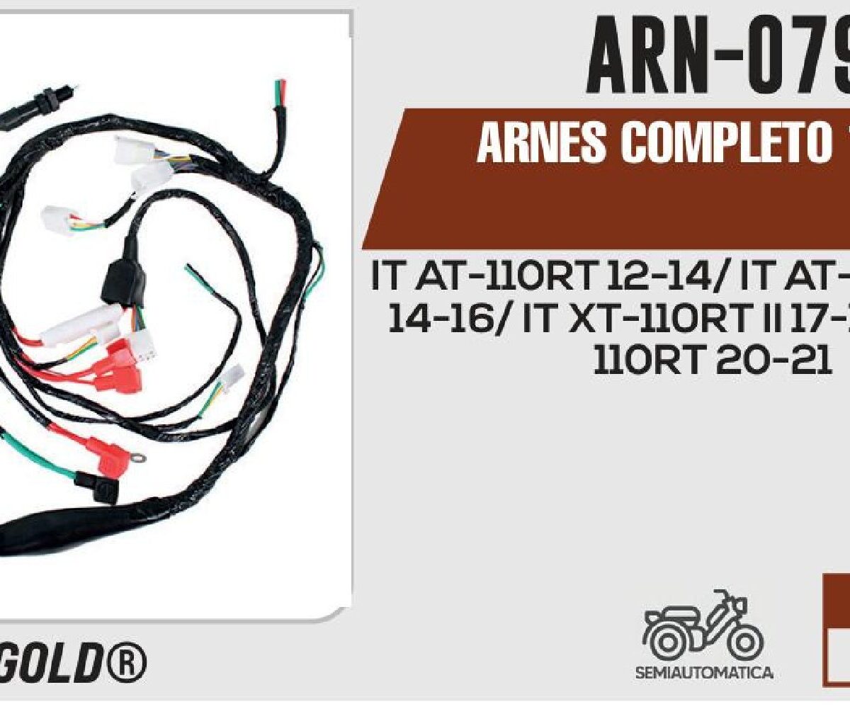 ARNES COMPLETO 12Vcc