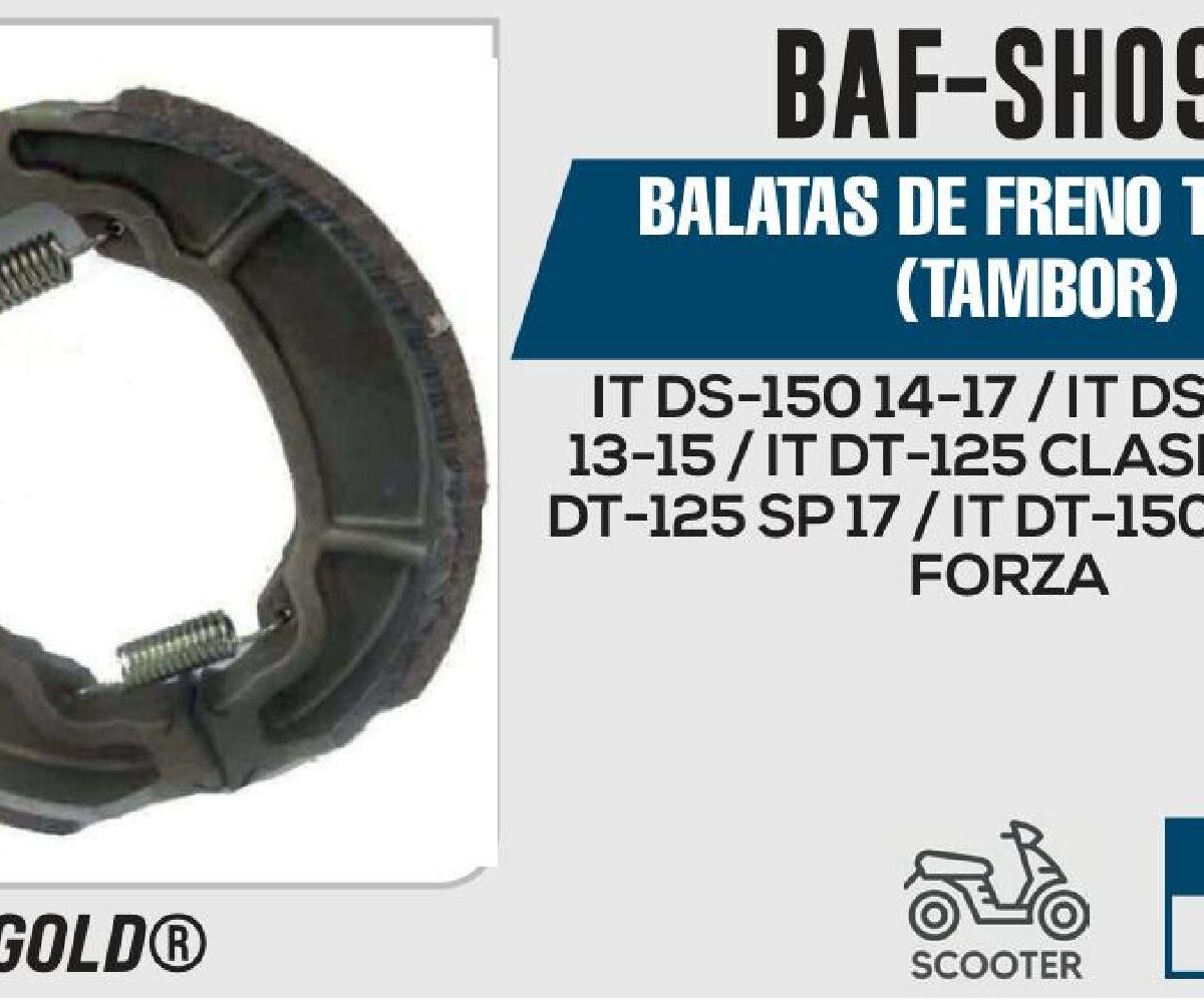 BALATAS DE FRENO TRASERO TAMBOR