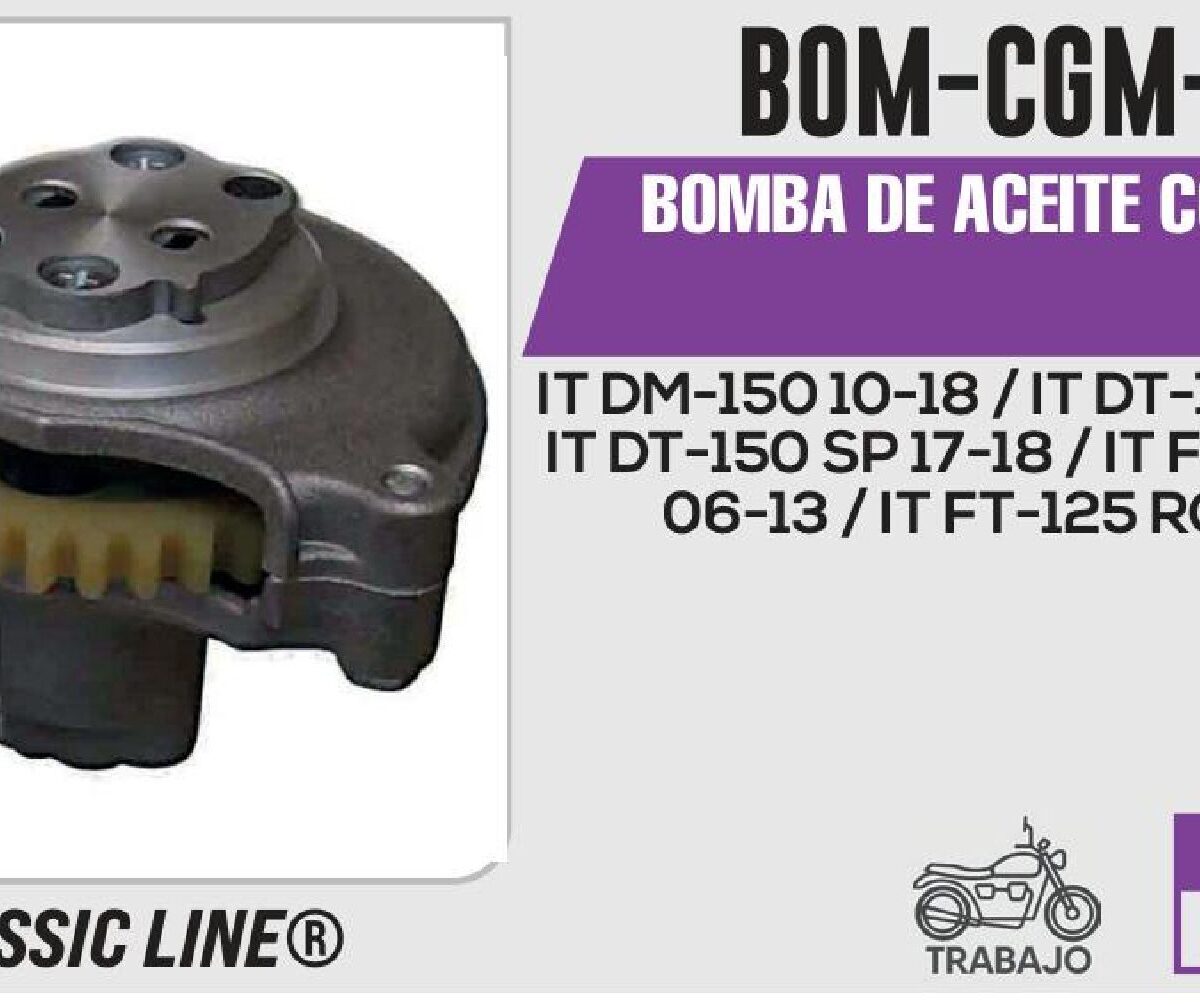 BOMBA DE ACEITE COMPLETA