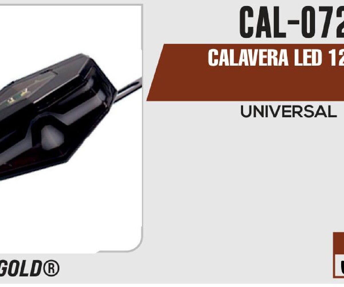 CALAVERA LED 12Vcc
