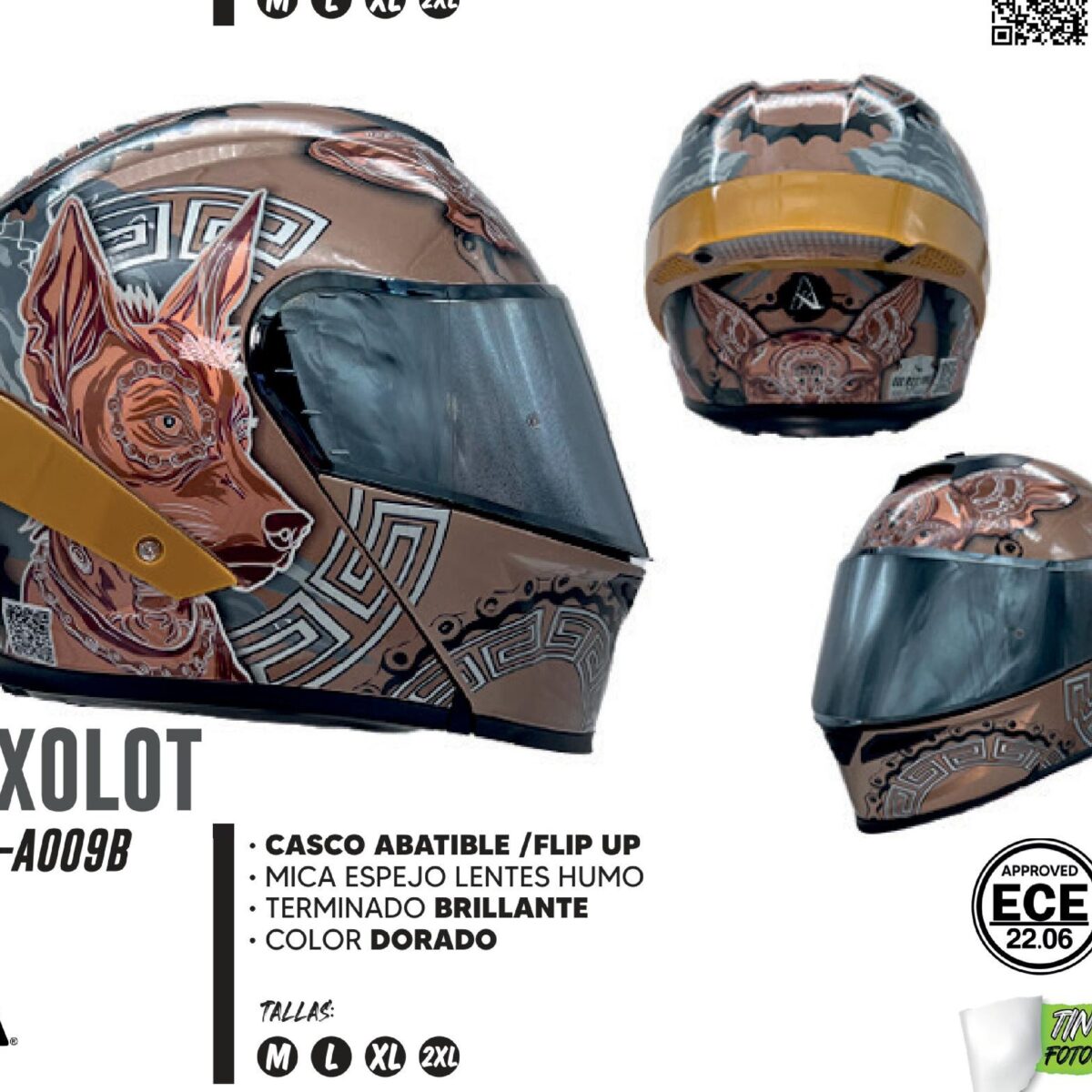 REGALO - CASCO PARA MOTOCICLISTA ABATIBLE MICA ESPEJO LENTES HUMO CERTIFICADO ECE-22.06 / CAS-ABA-A009B-L