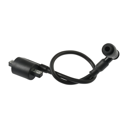 BOBINA DE IGNICION DM200, DM-125, P/ BWS-100, P/ FT-150, P/ ATV-150